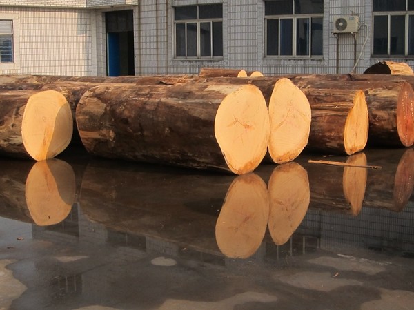 Natural Reconstituted Engineered Wood Veneer EV European Oak