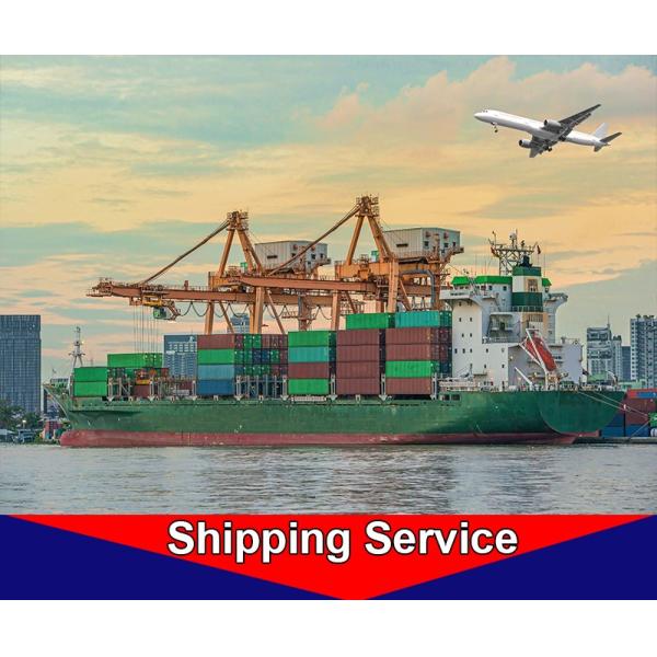 Door To Door International Ocean Freight Services Shenzhen To Worldwide Export Import