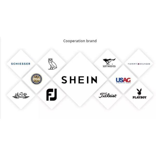 Top Quality Classical 100% Cotton T Shirt Regular Fit Palin Scoop Neck T Shirt for Men