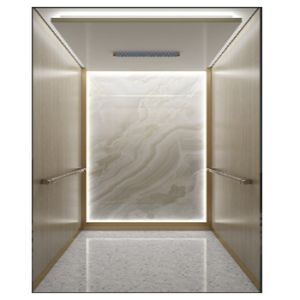 Stainless Steel Traction Type Home Villa Elevator Mini Small Small Home Elevator