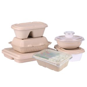 Biodegradable Paper Tableware Making Machine Flexible And Precise Production