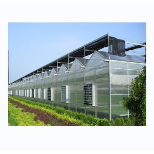 Quality Sturdy And Large Greenhouse Agriculture Polycarbonate With Galvanized Steel Frame for sale