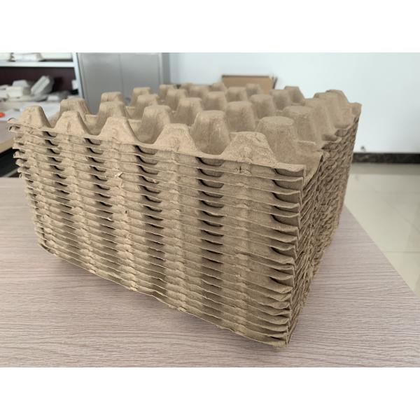 New Design Pulp Egg Box Making Machine Fruit Tray Production Line