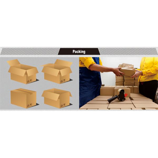 15 watt LED down light - Sourcechip LED Downlight