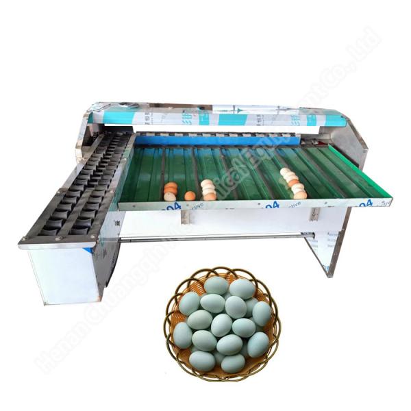 Buy Egg Grader Sorter Egg Weighing Grading Machine Chicken Duck Egg Grading Sorting Machine at wholesale prices
