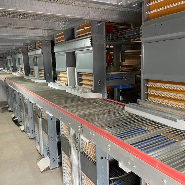 24.5in Width Egg Laying Chicken Cage 10 Birds / Cage Hopper Feeding