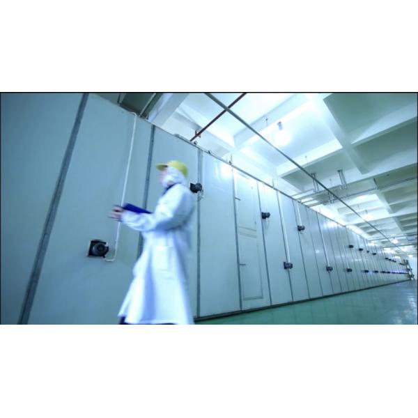 Healthy Food Crispy Dried Fruits and Vegetables Mixed Snacks Fried Sweet Potato Chips