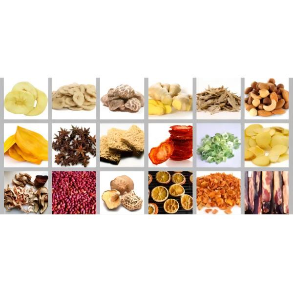 Industrial Conveyor Mesh Belt Dryer Charcoal Briquettes 0.8Mpa