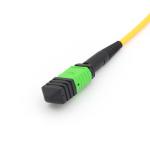 KEXINT MPO To LC Fiber Optical Patch Cord 8 Core 3m Singlemode Multimode