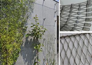 China 3m Height 7 × 7 Wire Rope Mesh Climbing Plants Diamond Green Facade Cable System on sale