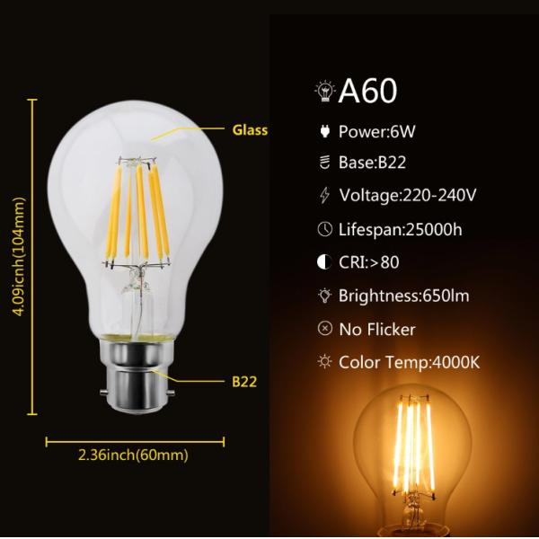 230V White LED Filament Bulb , A60 A19 4W 6W LED Edison Bulb