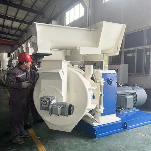 Quality Biomass Wood Pellet Machine Different Output for sale
