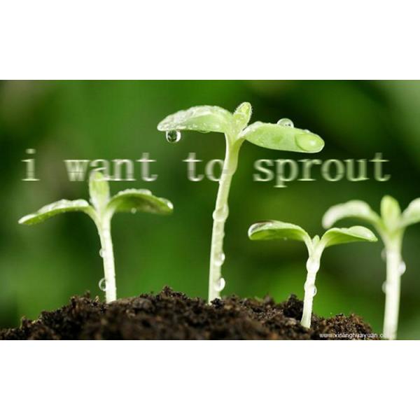 Thick 3Gal Plastic Nursery Pot 23cm Height Transplant HDPE Plant Pots