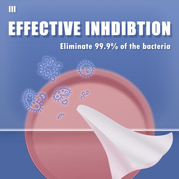 MSDS Certified Alcohol-Free Disposable Wet Disinfectant Wipes for Sensitive Baby Skin