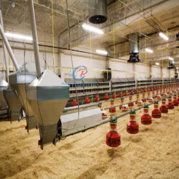 High Strength Energy Efficient Steel Buildings For Goat / Sheep