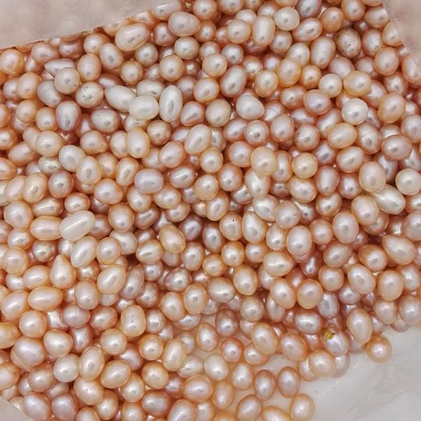 Wholesale Vacuum-packed 7-8mm A grade rice shape freshwater pearl oyster white natural Pearl Oyster