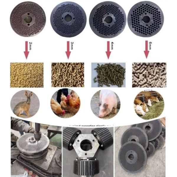 Cattle Poultry Feed Pellet Machine Animal Chicken Rabbit Pellet Making Machine