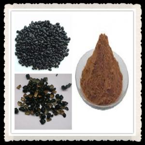 China Kosher Black Soybean Hull Extract Powder ( Anthocyanidin 5%-10%) on sale