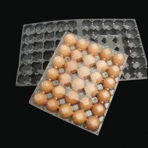 Quality 5X6 Disposable Plastic Egg Tray 30 Holes Transparent Egg Tray Plastic for sale