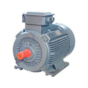 China IP55 LV Squirrel Cage Motor Asynchronous 380v Electric Motor Winding Wire on sale