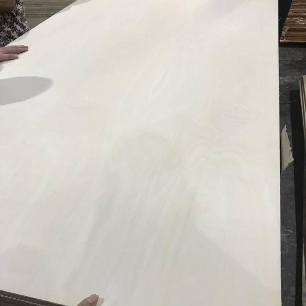 White Indoor Furniture 16mm 18mm Birchwood Plywood