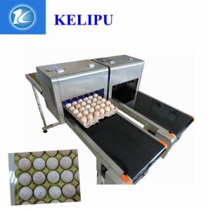 Quality Drag And Drop Convey Egg Inkjet Coding Machine Intelligence For Poultry Industry for sale