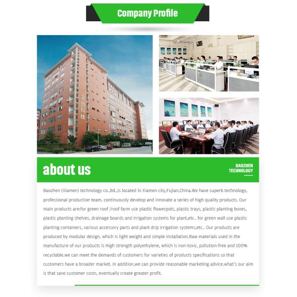 50mm Height Mold Ground Driveway Plastic Paver for Gravel Grid 480x520mm Grass Pavers