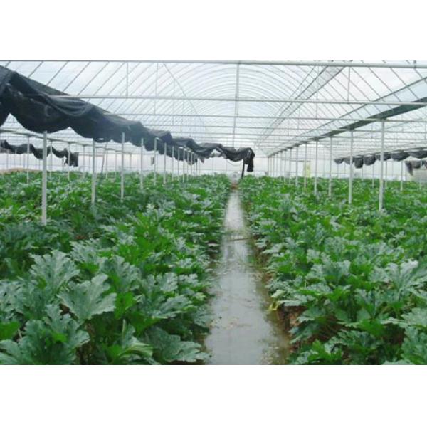 Seed Breeding Photovoltaic Power System PC Sheet Cover Material 8 - 12 M Span