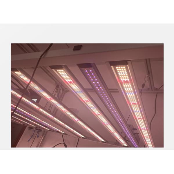UV 395nm IR 730nm Hydroponic Plant Grow Light 50W 100W For Veg Flower Bloom