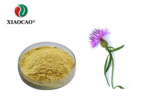 China Nature Silybum Marianum Extract , Milk Thistle Seed Extract Powder Silymarin 80% Silybin on sale