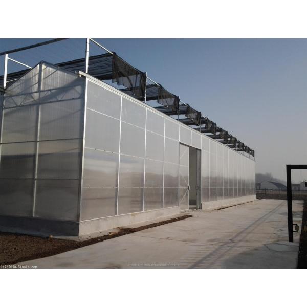 4m Bay Width Polycarbonate Greenhouse Installation Drawing and Galvanized Steel Frame