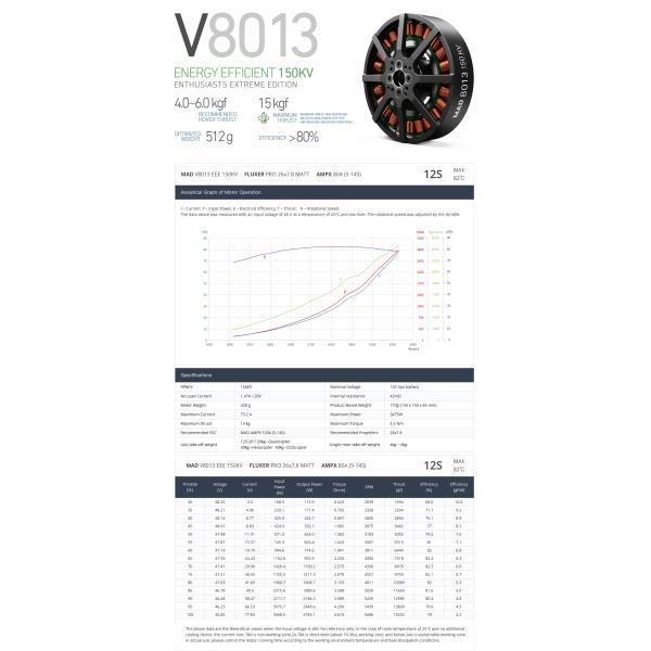 V8013 EEE V1.0 Brushless DC Motor