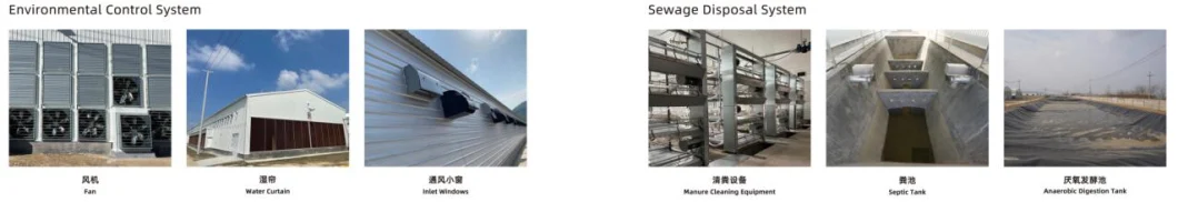 High Quality Broiler Chicken Cage Equipment