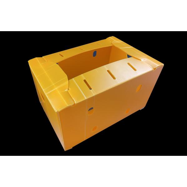 PP Corrugated Plastic Fruit Packaging Box Lightweight Corflute Storage Box