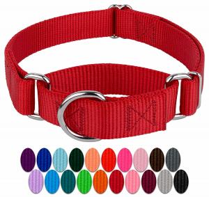 China Easy On Off Durable Nylon Buckle Dog Collars on sale
