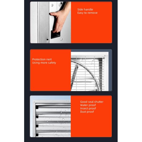 Big air Volume 50 56 Inch 380v/220v Factory Poultry Farm Exhaust Wall Mounted Ventilation Industrial Exhaust Fan