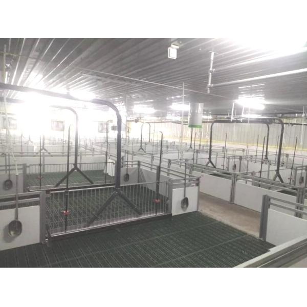 Heavy-Duty plastic slat flooring With 300kg Bearing And 15-20 Years Service Life