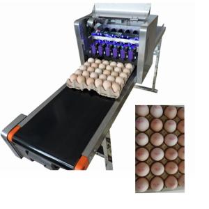 Quality Convenient Moving Egg Code Printing Machine With Personalized Integration Frame for sale