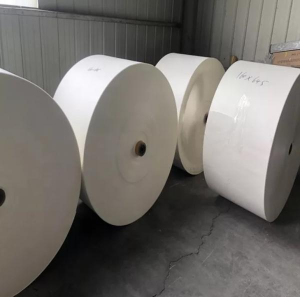 Buy OEM 190gsm 260gsm PE Coated Cup Stock Paper In Roll Sheet at wholesale prices