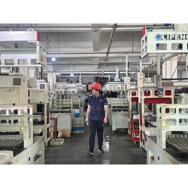 NPT BSPT Threaded Stainless Steel Butterfly Valve 1/8"-46"