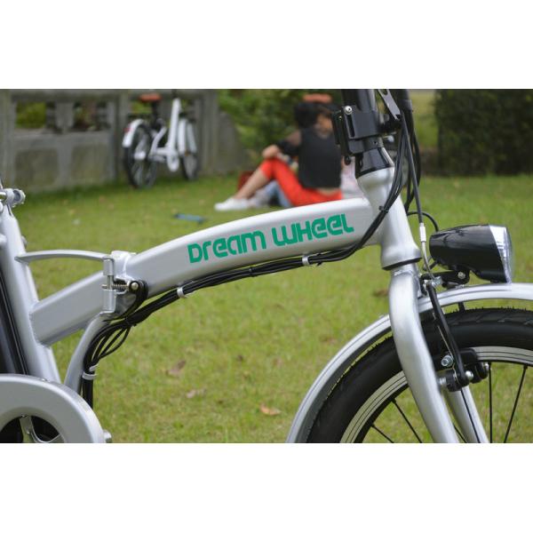 25km/H Small Long Range Folding Electric Bike 36V 250W Brushless Hub Motor