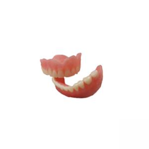 Quality Natural Digital Dental Model Surface Rubber Smooth OEM Denture Dental Lab for sale
