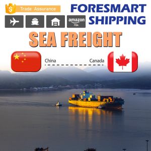 Quality Ningbo China To Toronto Canada North America Freight for sale