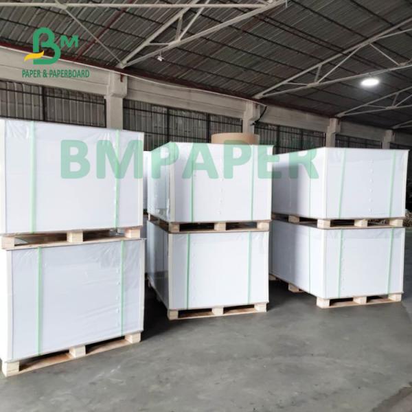 180gsm + 15gsm Single Side PE Coated Cup Paper Good Malleability Single Side PE Coated Cup Paper 180gsm + 15gsm With Good Malleability