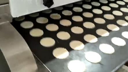 Hard cookies Moulding Machine , Biscuits Making machine , pancakes machine, Cake machines, cookies depostior