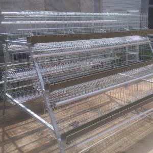 China PVC Trough 96 128 160 Poultry Egg Layer Cages / Poultry Farm Cage Easy Install on sale
