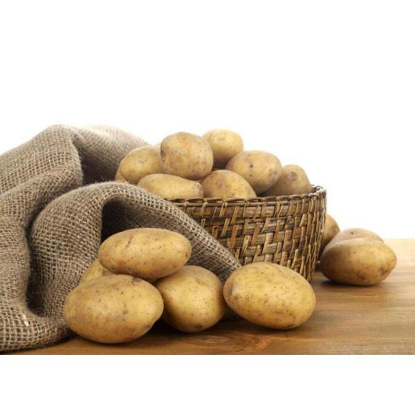 CE Approved Food Preparation Equipments , Electric Commercial Potato Peeler