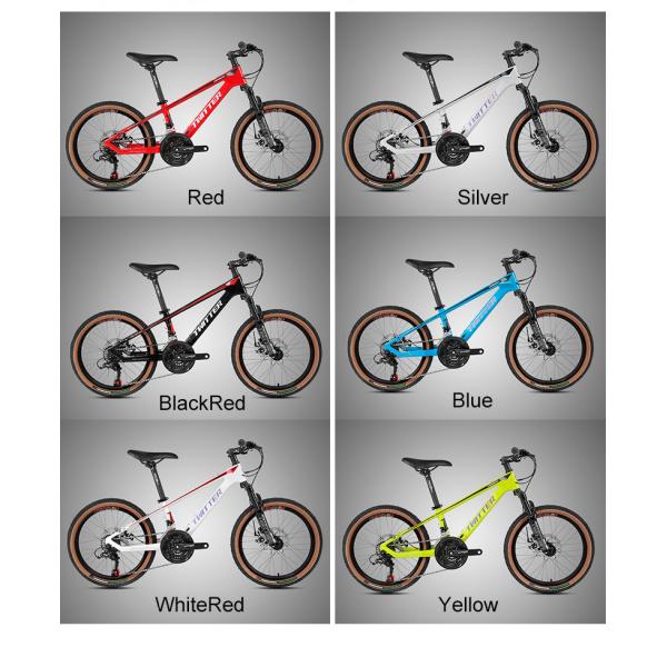 20inch Carbon Fiber Mountain Bike SHIMANO EF500 21 Speed With Disc Brake