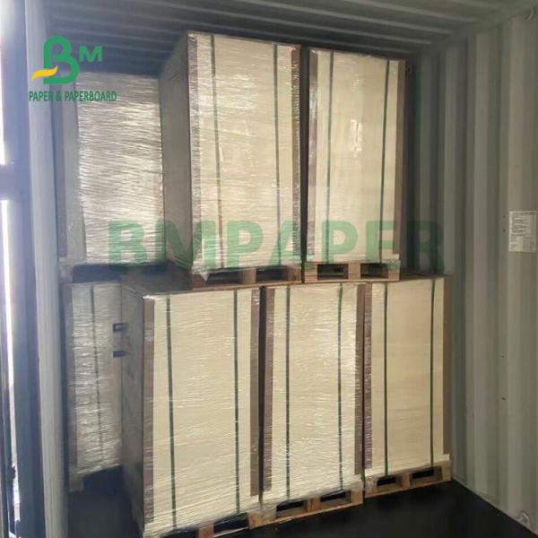 230gsm+15gsm Durability PE Coated Cup Stock Paper For Soup Bowl 560mm X 700mm 230gsm+15gsm Durability PE Coated Cup Stock Paper For Soup Bowl 560mm X 700mm