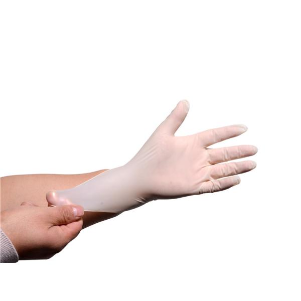 9 Inches Medical Latex Gloves , Latex Examination Gloves For Hospital Clinic